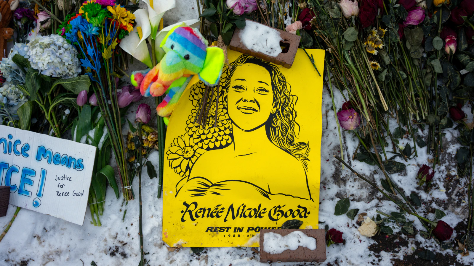 FBI एजेंट ने इस्तीफा दिया: मिनियापोलिस में रेनी गुड पर ICE की गोलीबारी की जांच विवादित हो गई | 